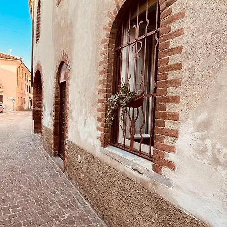 Daisy Homes Bed & Breakfast